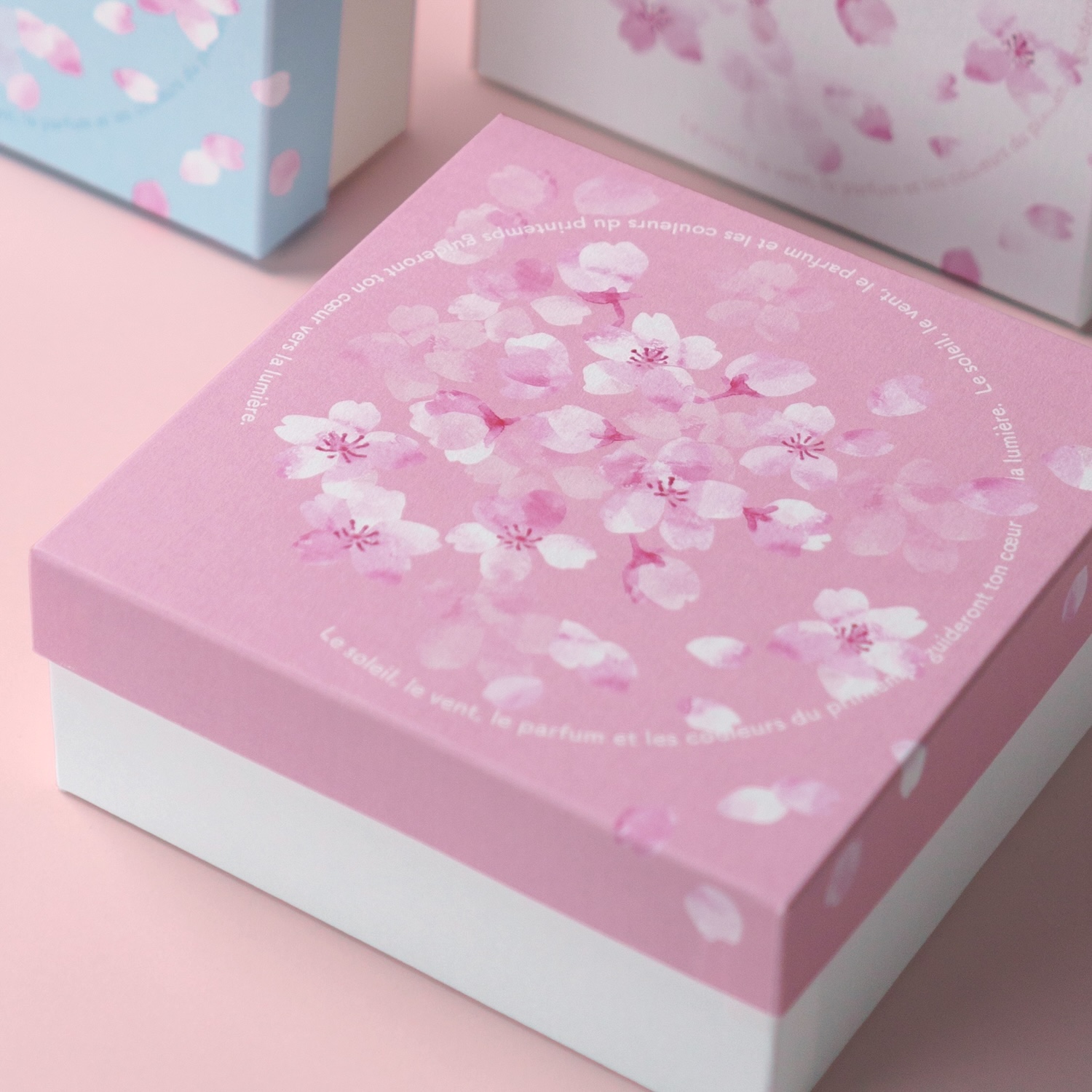 ラ・ヴィ・サクラ