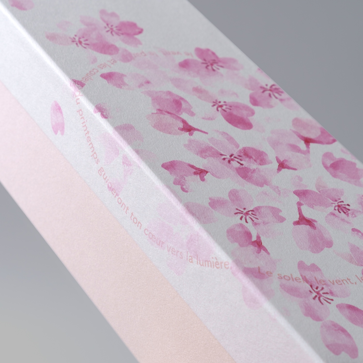 ラ・ヴィ・サクラ