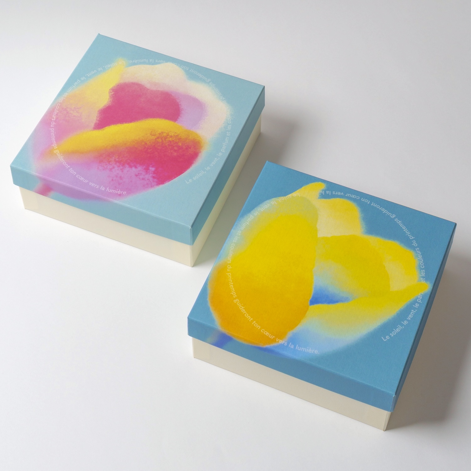 ラ・ヴィ・テュリップ