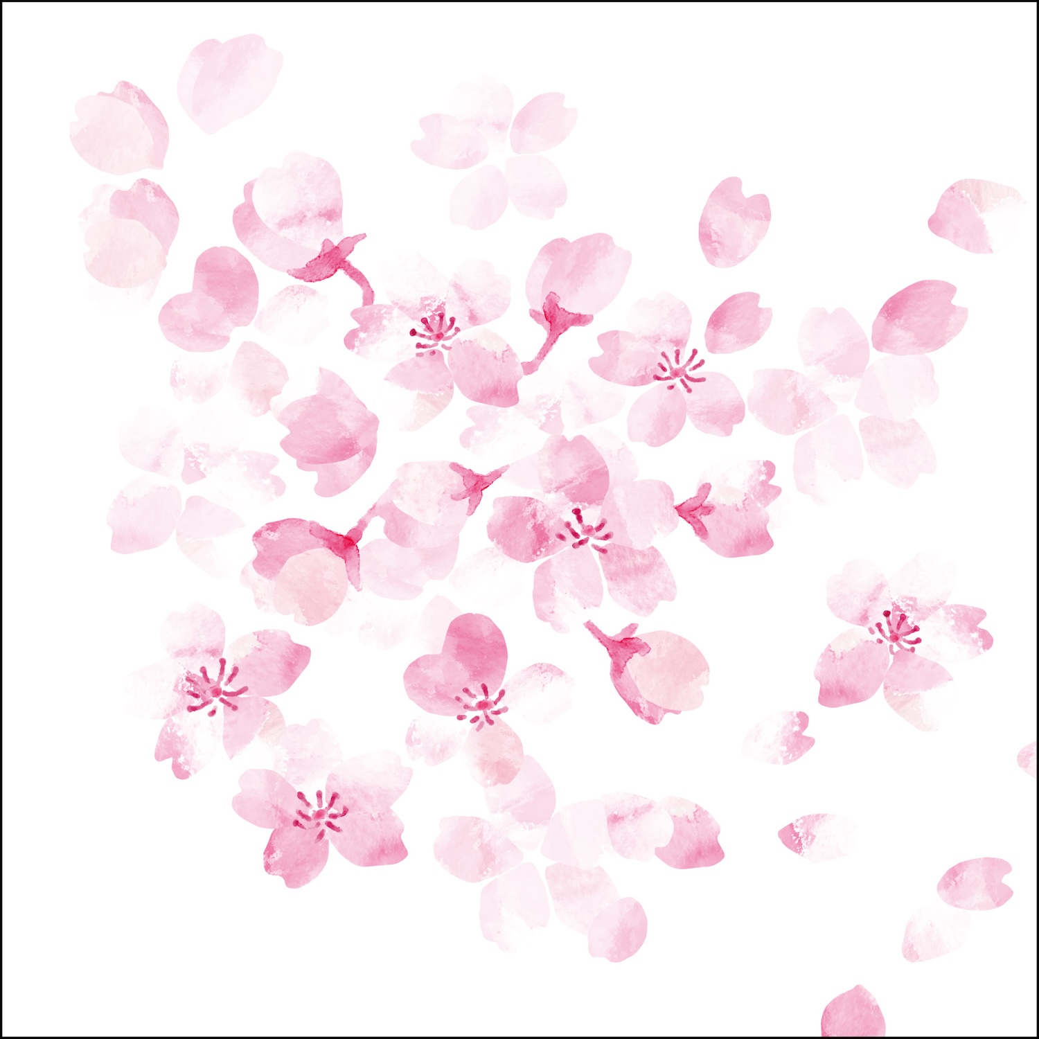 La Vie -Sakura-(ラ・ヴィ・サクラ)