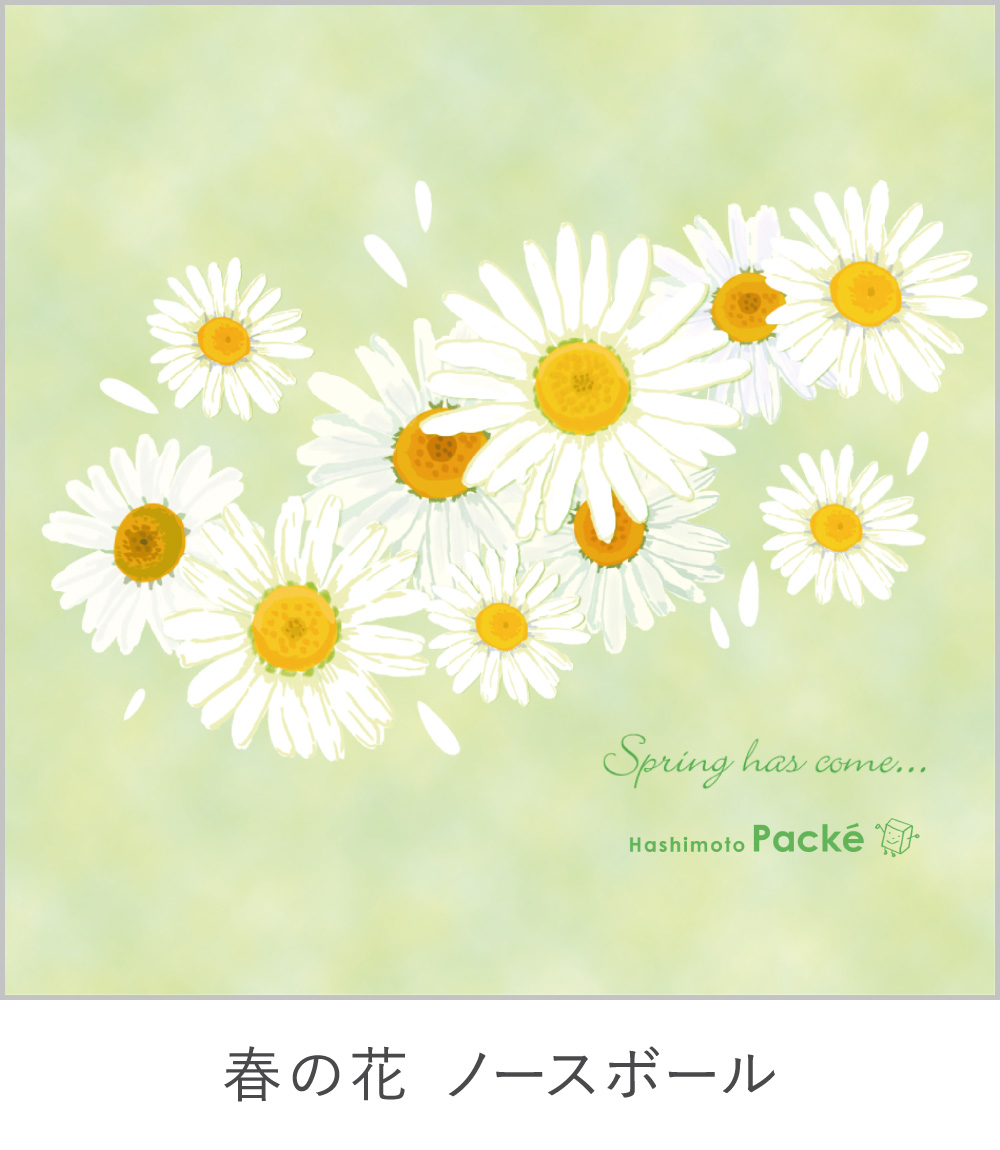 春の花 ノースボール